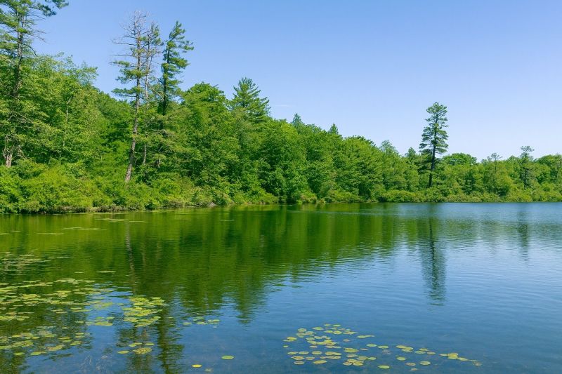 Lake Ariel, PA