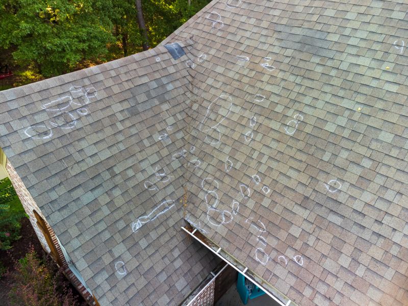 Asphalt Roof Inspection in Bushkill, PA