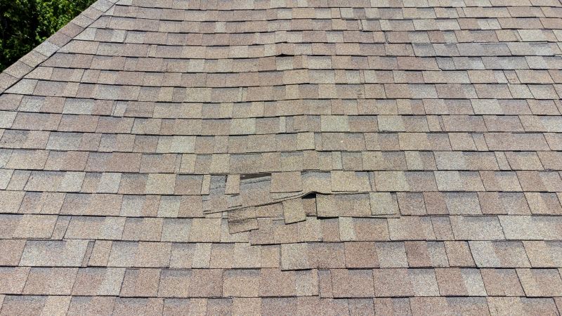 Asphalt Roof Inspection in Moscow, PA