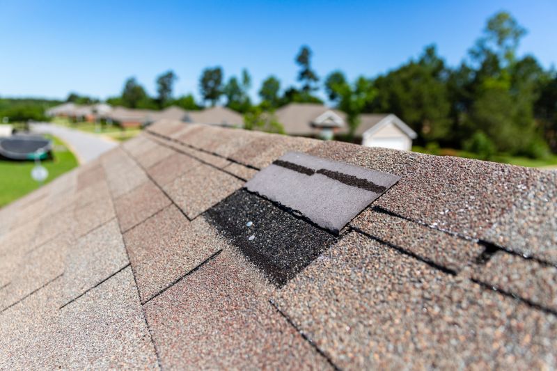 Asphalt Roof Leak Repair in Newfoundland, PA