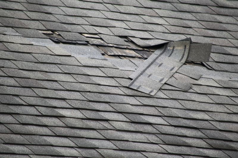 Asphalt Roof Leak Repair in Saylorsburg, PA