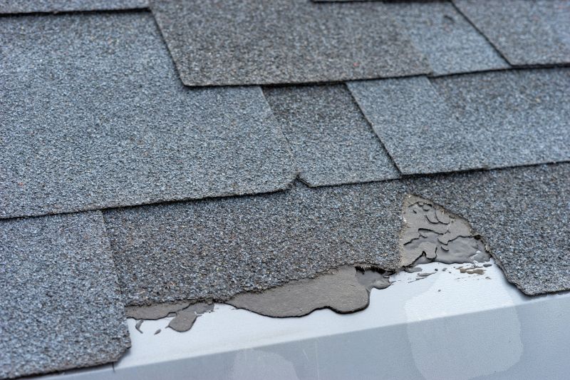Damaged Roof Repair in Newfoundland, PA