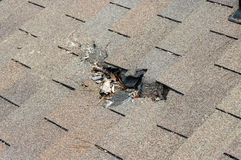 Damaged Roof Replacement in Cresco, PA