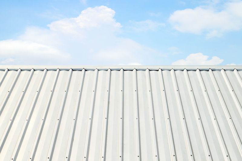 Metal Roof Coating Service in Mount Pocono, PA
