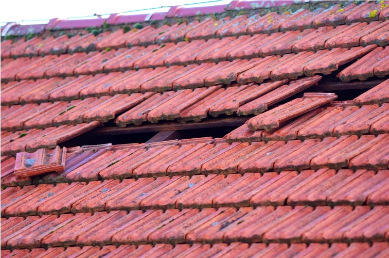 Roof Damage Inspection in Swiftwater, PA
